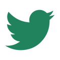 main social media